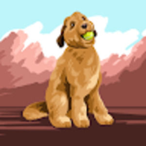 Meet your Posher, Micah